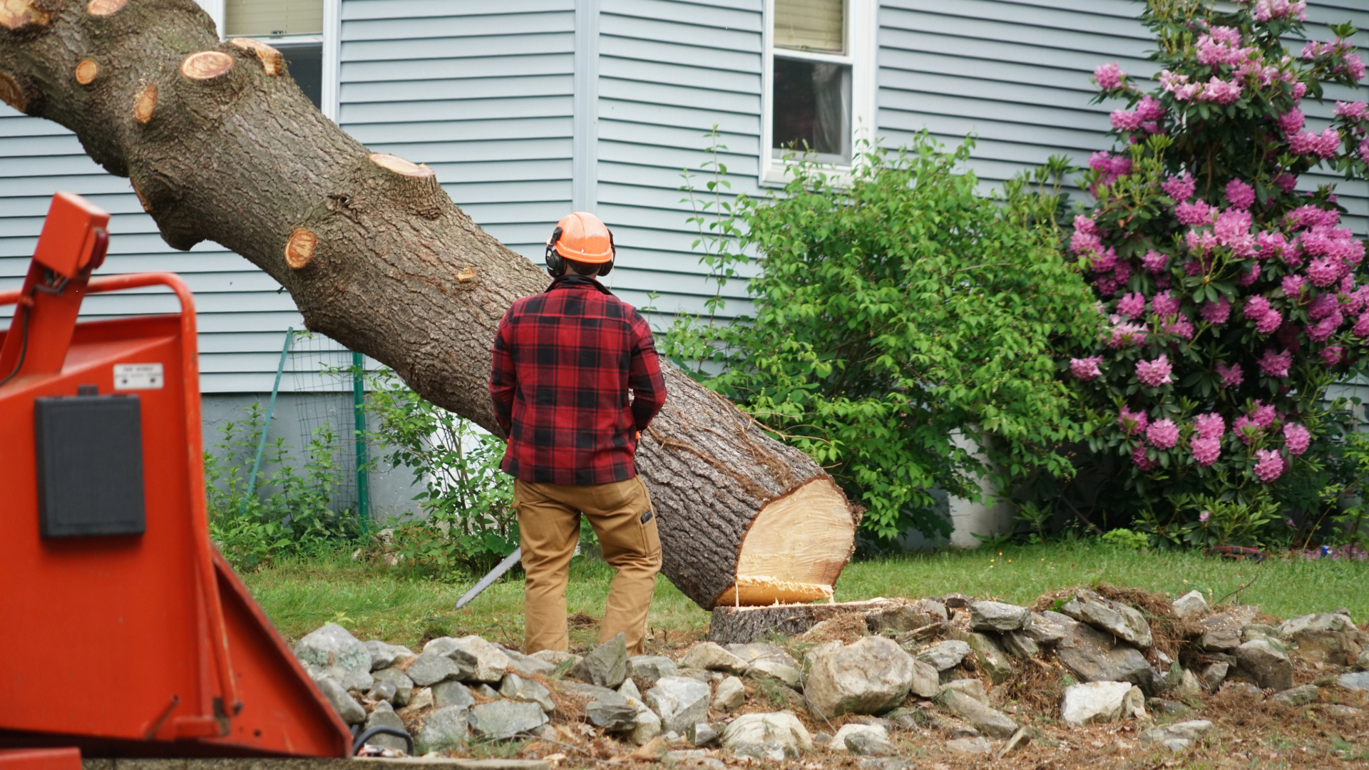 AllScapes emergency tree removal project in East Greenwich Rhode Island