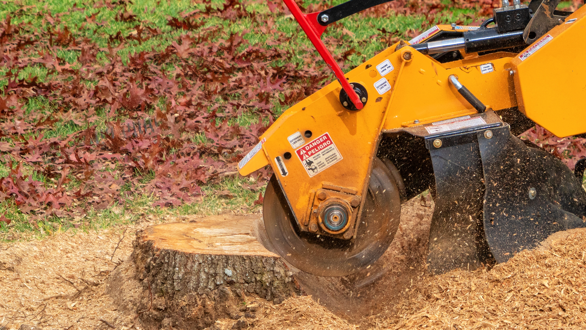 AllScapes stump grinding project at an East Greenwich Rhode Island property