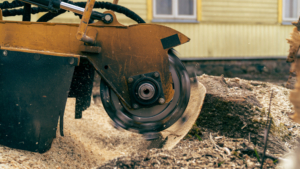 stump grinding north kingstown ri