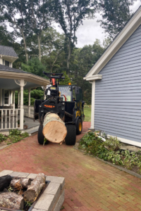 Stump removal and grinding at a watch hill ri home
