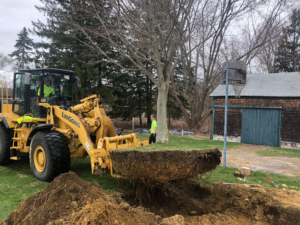 Tree transplant in exeter ri home
